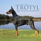 AM. CH TROTYL DE BLACK SHADOW WAC